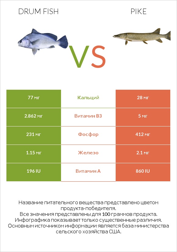 Drum fish vs Pike infographic