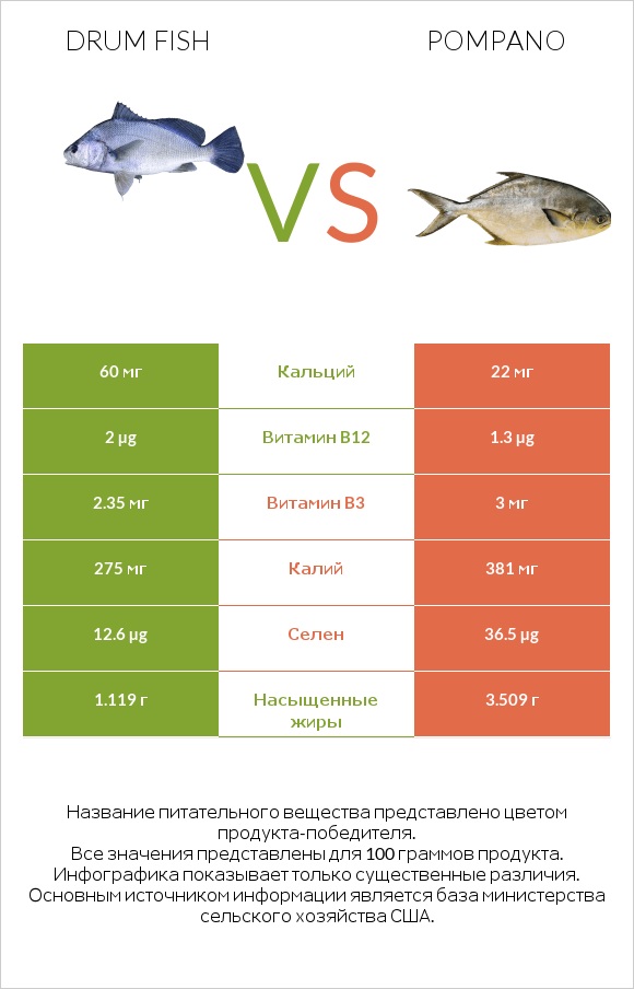 Drum fish vs Pompano infographic