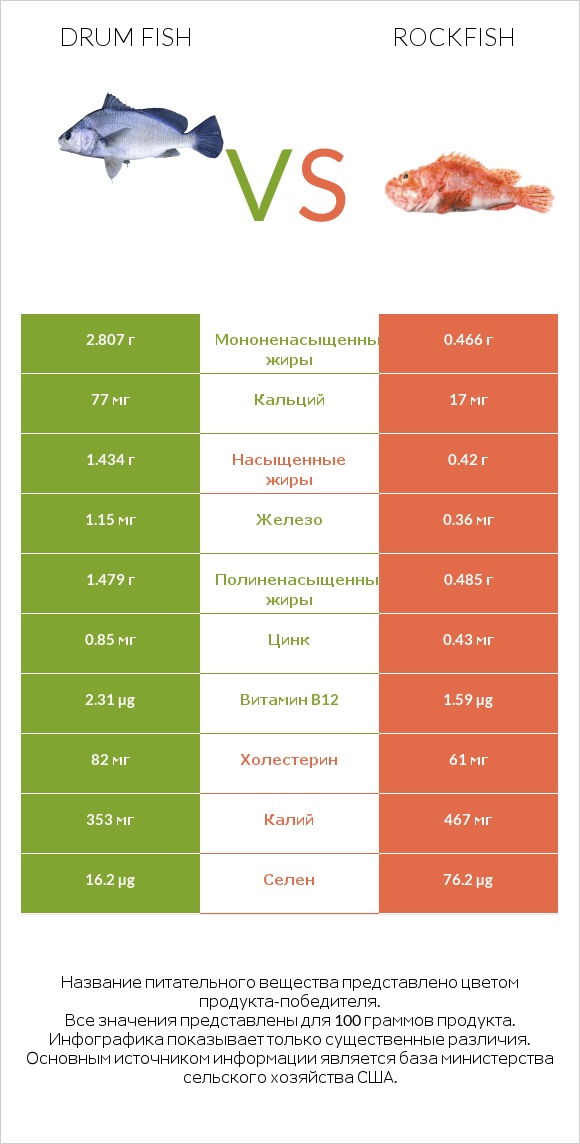 Drum fish vs Rockfish infographic