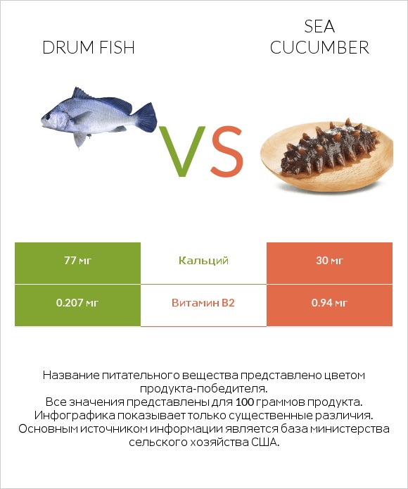 Drum fish vs Sea cucumber infographic