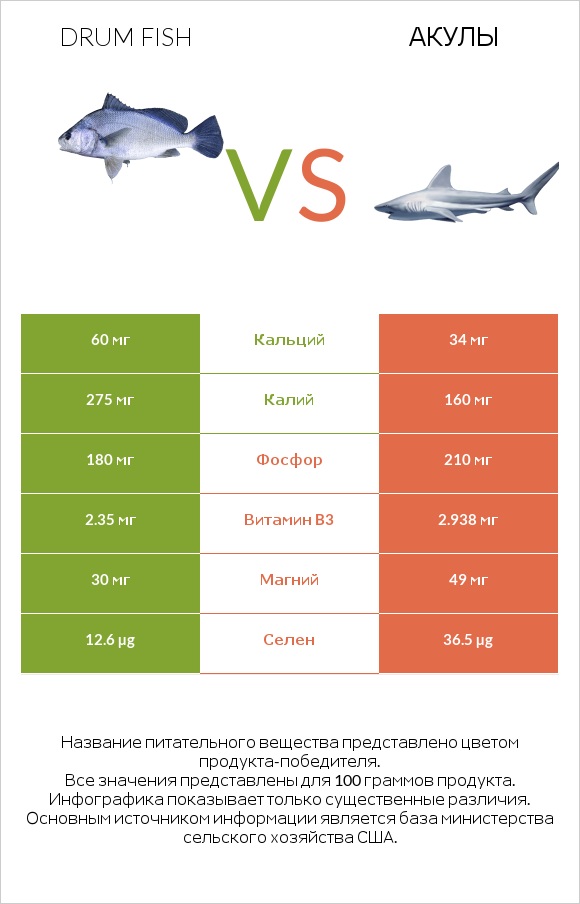 Drum fish vs Акула infographic