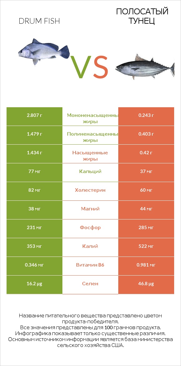 Drum fish vs Полосатый тунец infographic