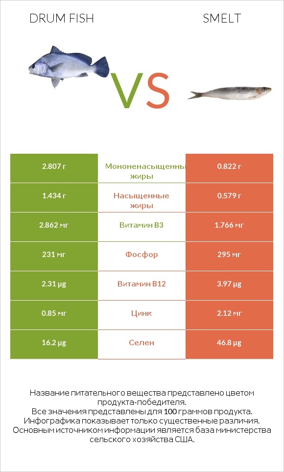 Drum fish vs Smelt infographic