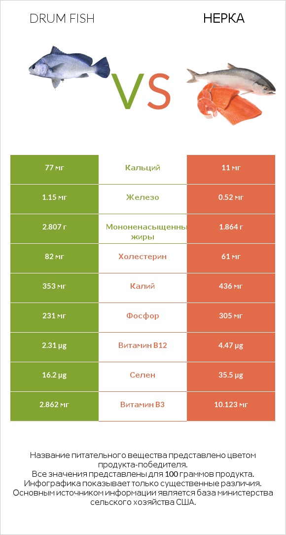 Drum fish vs Нерка infographic