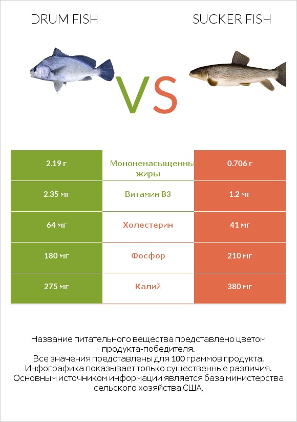 Drum fish vs Sucker fish infographic