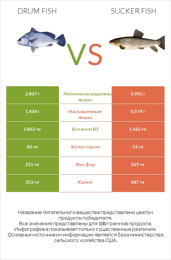 Drum fish vs Sucker fish infographic