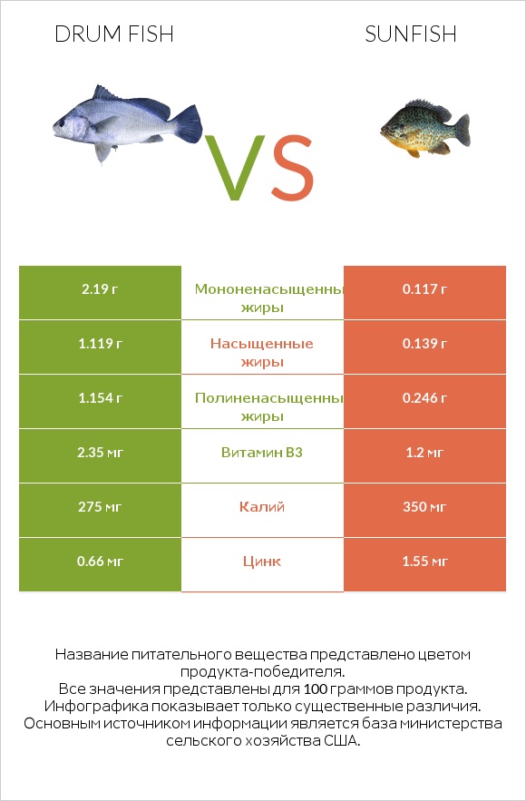 Drum fish vs Sunfish infographic
