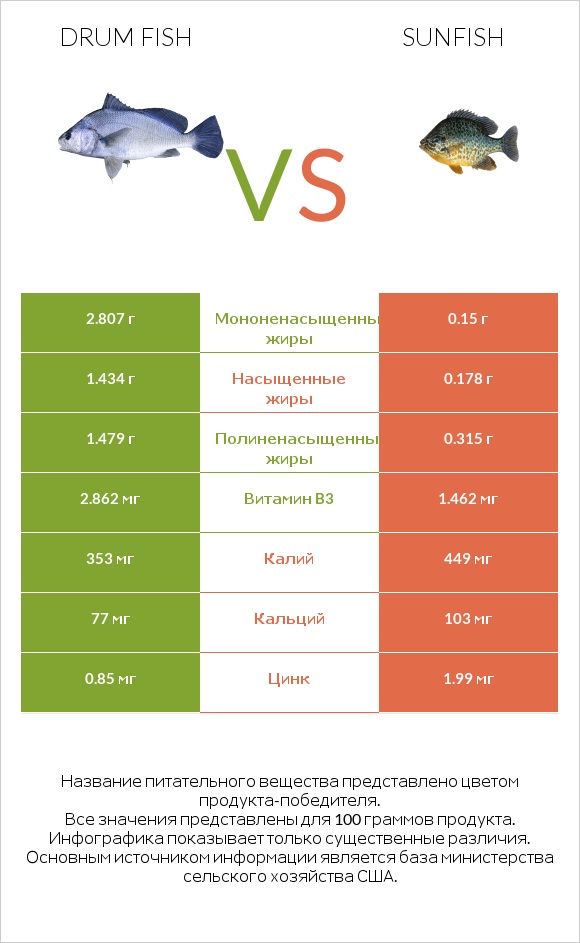 Drum fish vs Sunfish infographic