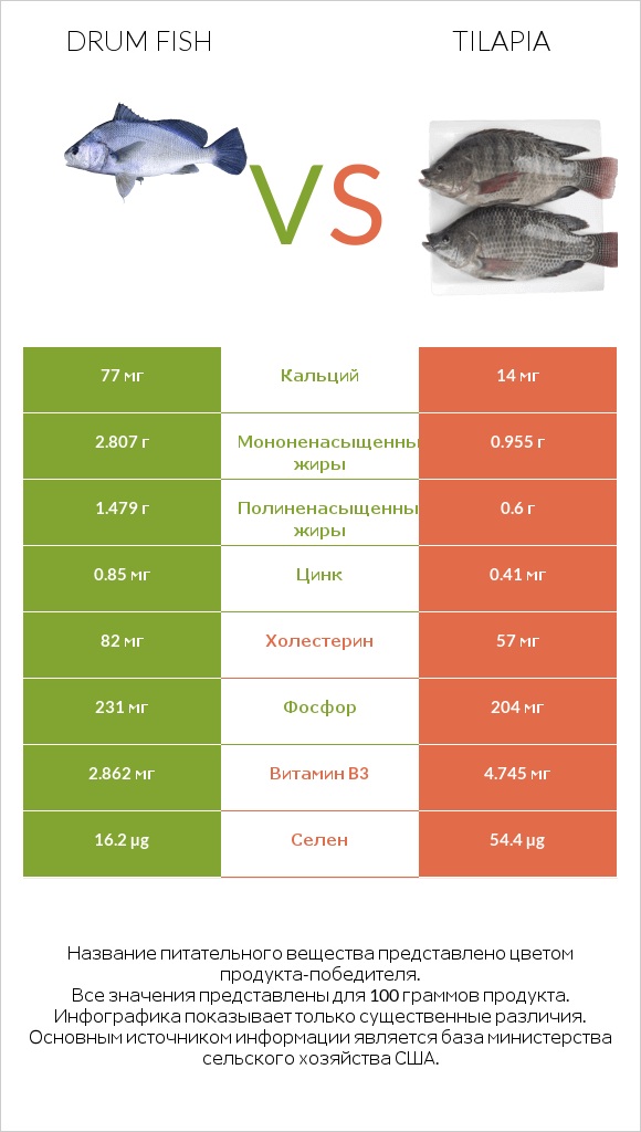 Drum fish vs Tilapia infographic