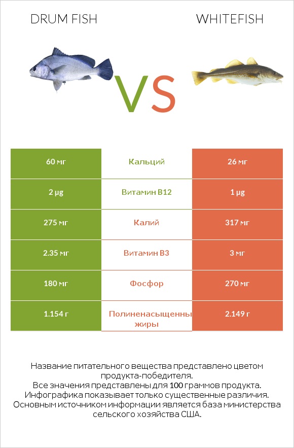 Drum fish vs Whitefish infographic