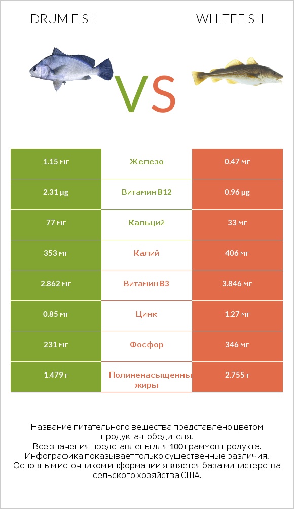 Drum fish vs Whitefish infographic