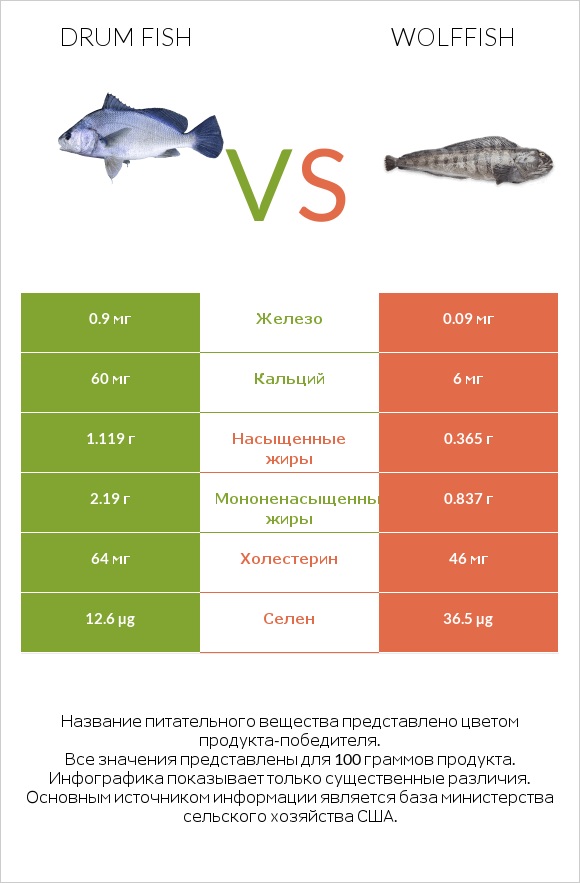 Drum fish vs Wolffish infographic