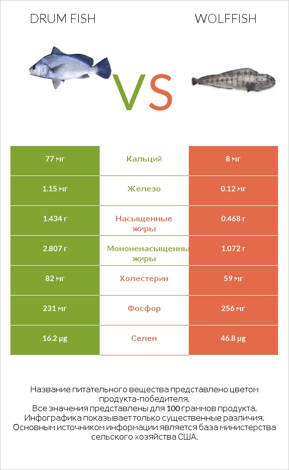 Drum fish vs Wolffish infographic