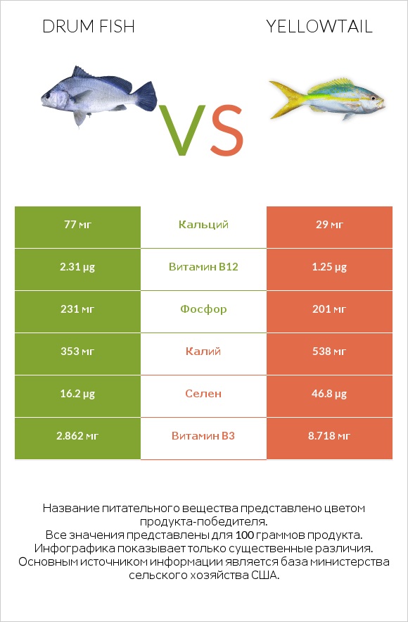 Drum fish vs Yellowtail infographic