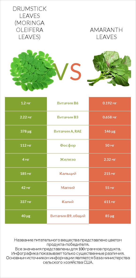 Drumstick leaves vs Amaranth leaves infographic