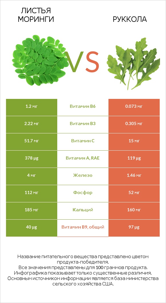 Листья моринги vs Руккола infographic