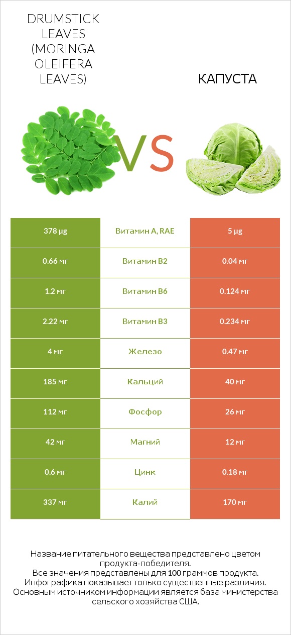 Drumstick leaves vs Капуста infographic