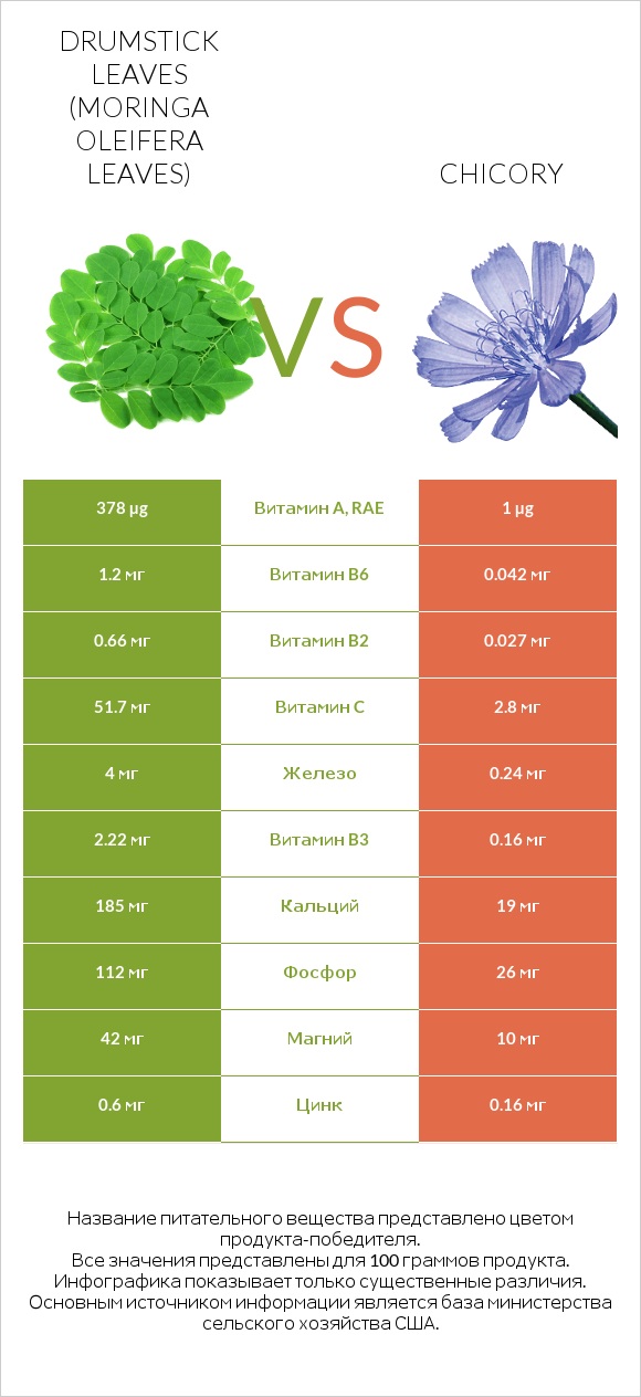 Drumstick leaves vs Chicory infographic