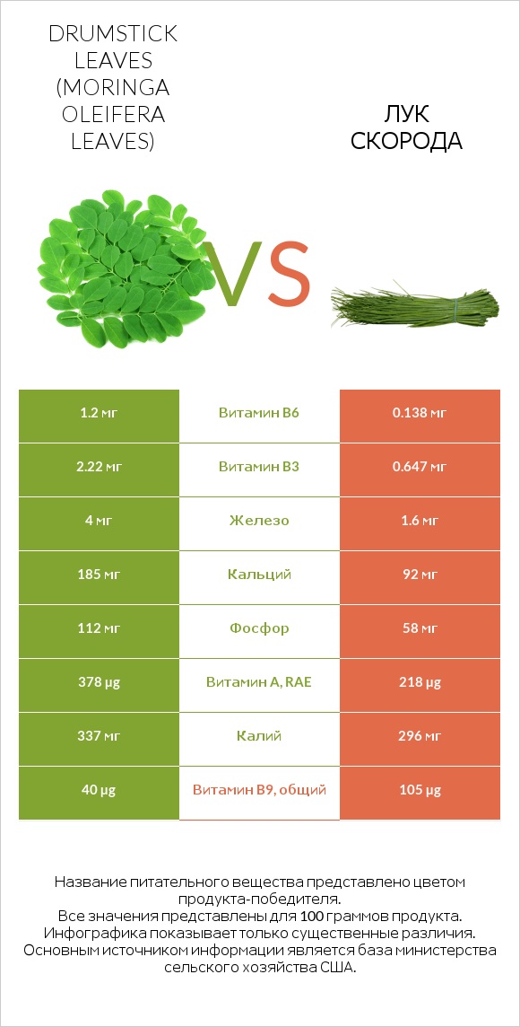 Drumstick leaves vs Лук скорода infographic