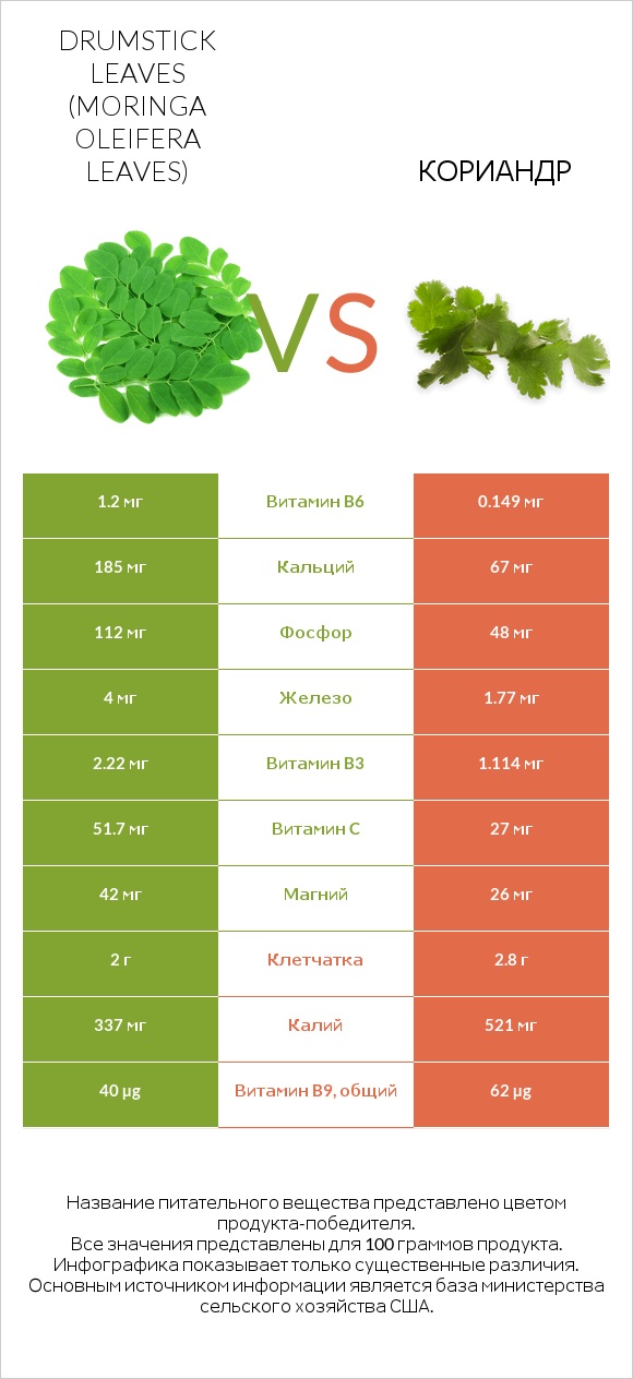 Листья моринги vs Кориандр infographic