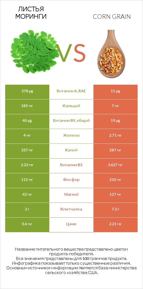 Листья моринги vs Corn grain infographic