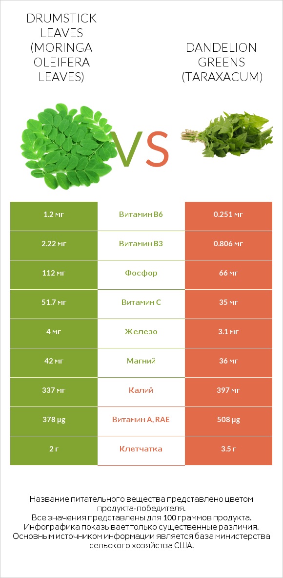 Drumstick leaves vs Dandelion greens infographic