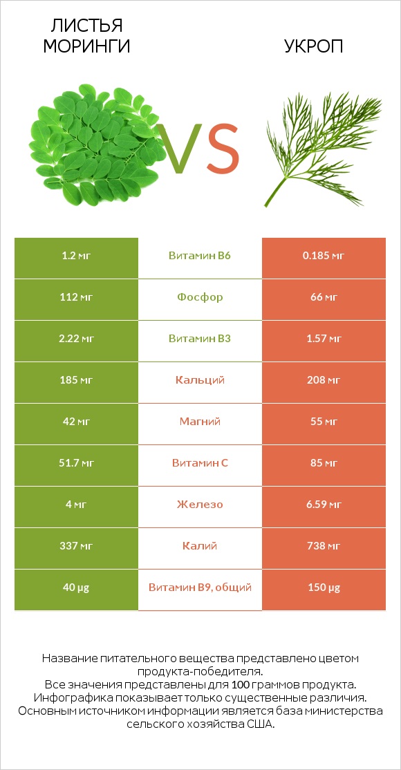 Листья моринги vs Укроп infographic