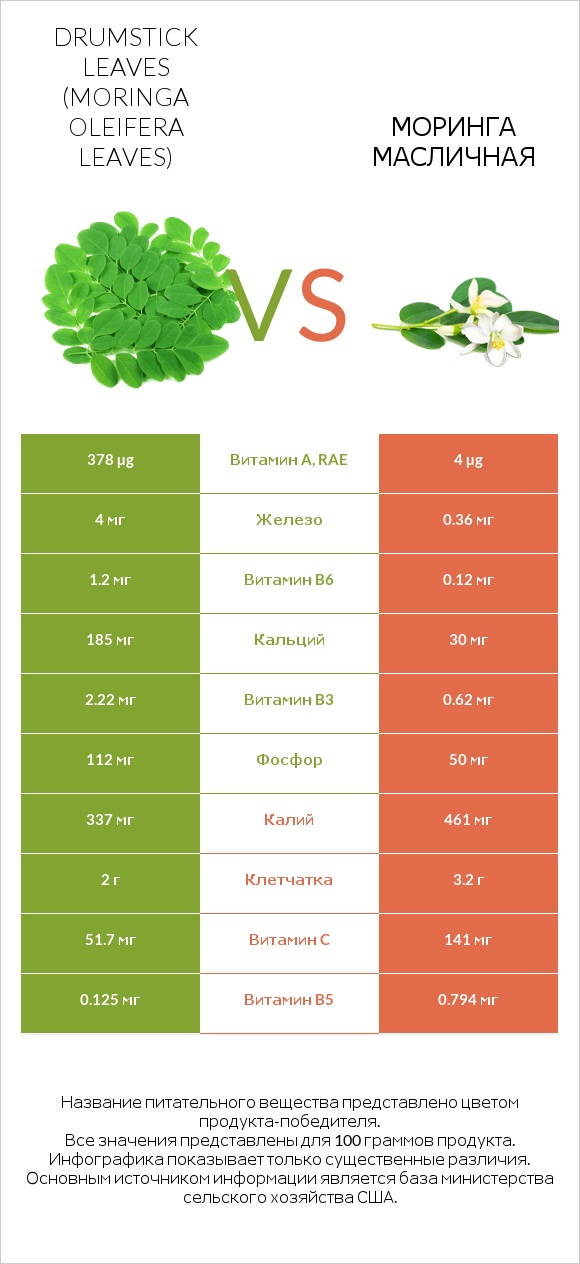 Drumstick leaves vs Моринга масличная infographic