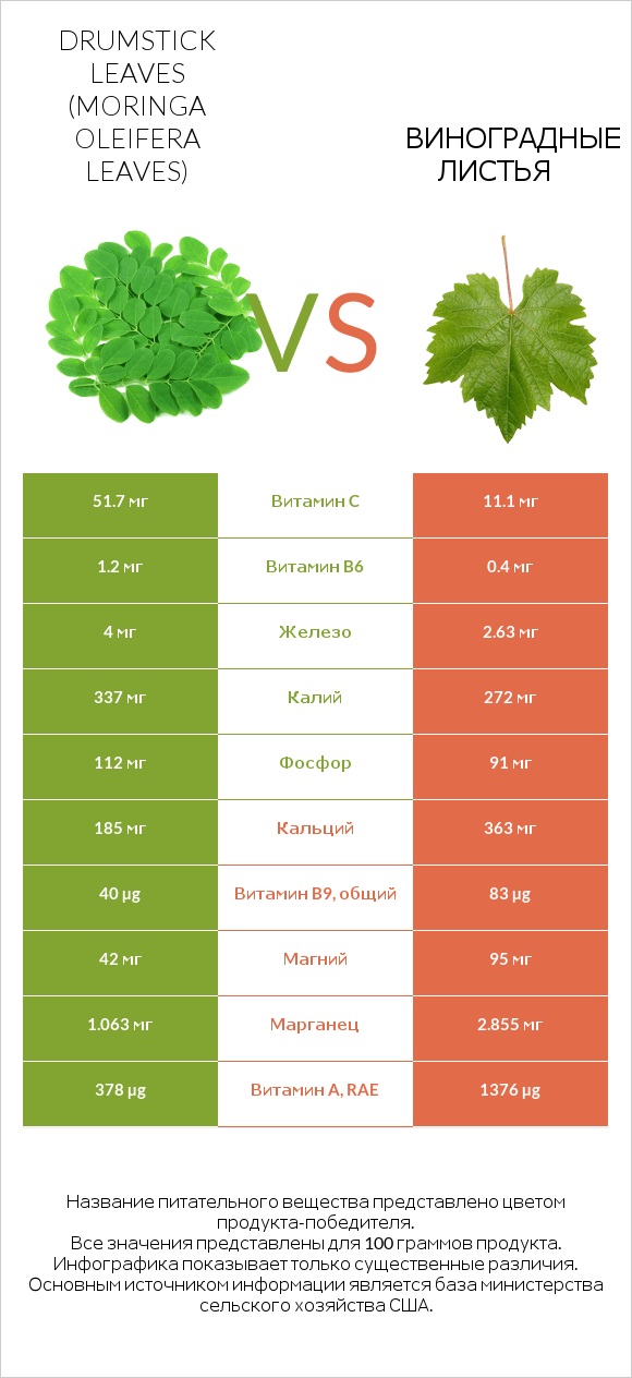 Drumstick leaves vs Виноградные листья infographic