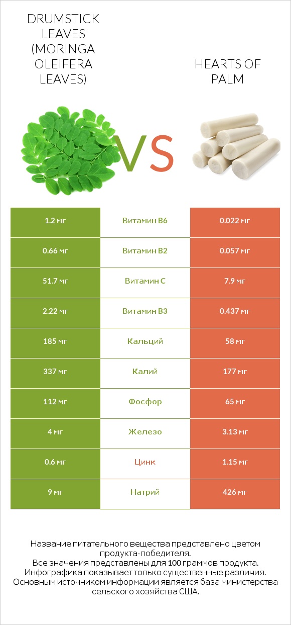 Drumstick leaves vs Hearts of palm infographic