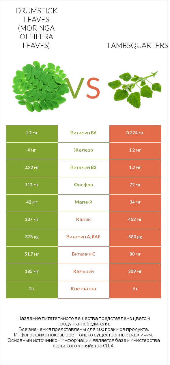 Drumstick leaves vs Lambsquarters infographic