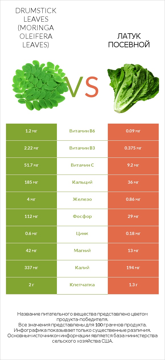 Листья моринги vs Латук посевной infographic