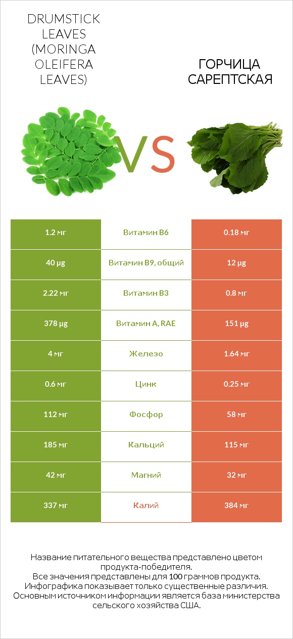 Drumstick leaves vs Горчица сарептская infographic