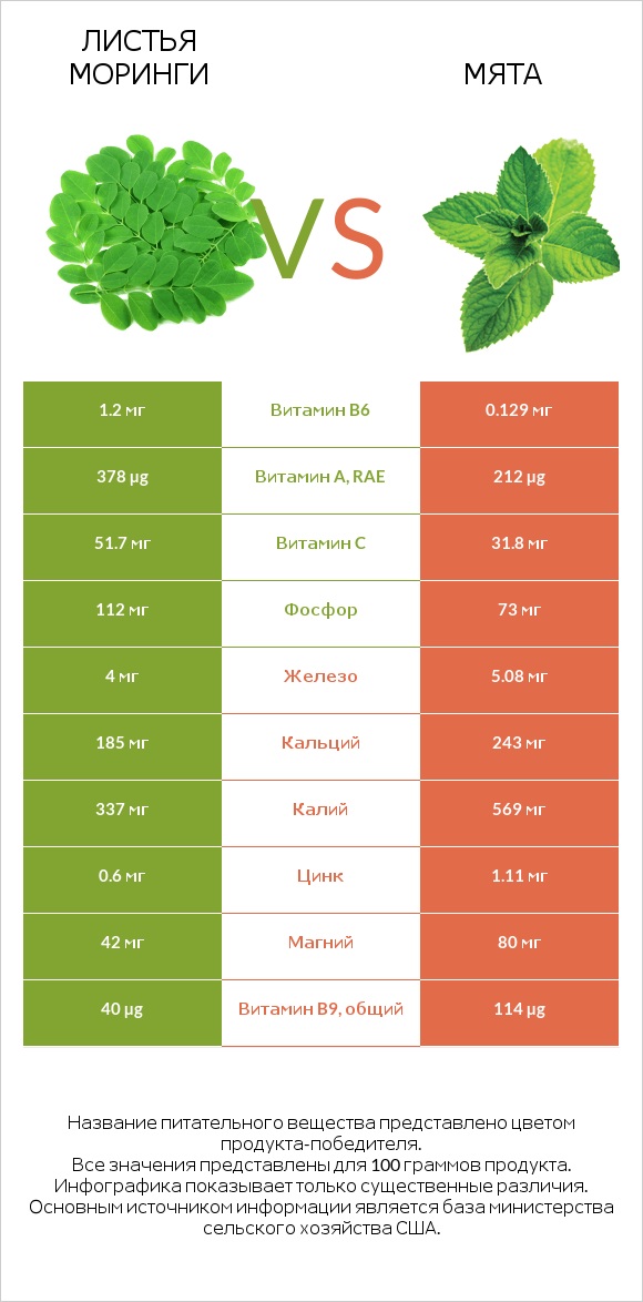 Листья моринги vs Мята infographic