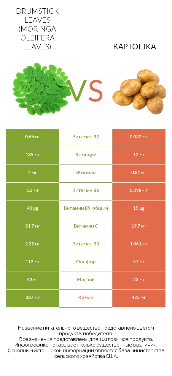 Drumstick leaves vs Картошка infographic