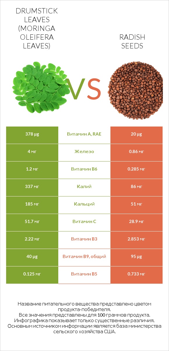 Drumstick leaves vs Radish seeds infographic