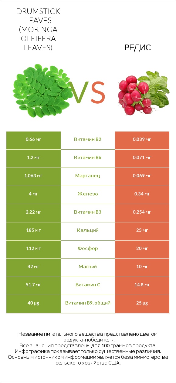 Drumstick leaves vs Редис infographic