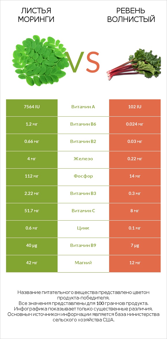 Листья моринги vs Ревень волнистый infographic