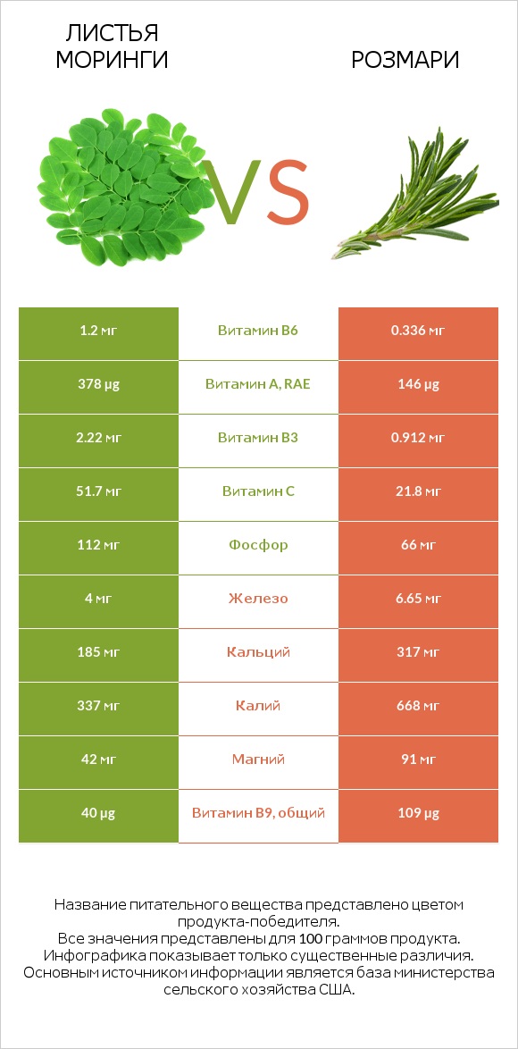 Листья моринги vs Розмари infographic