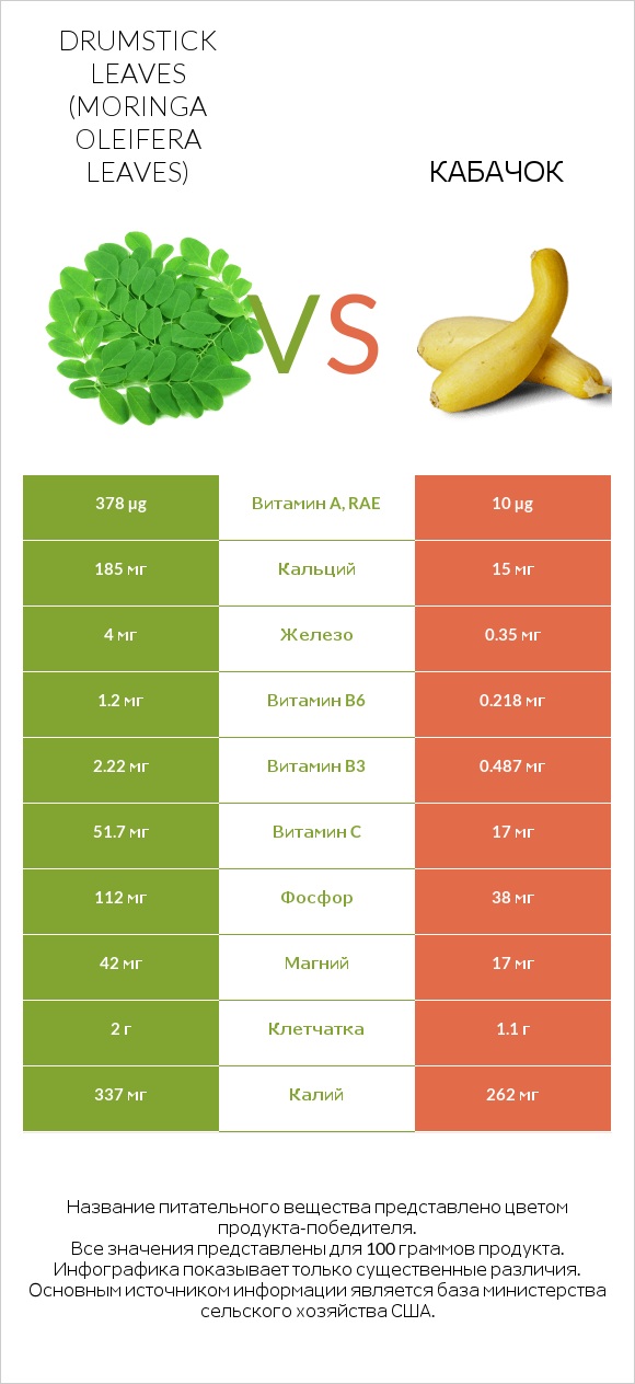Drumstick leaves vs Кабачок infographic