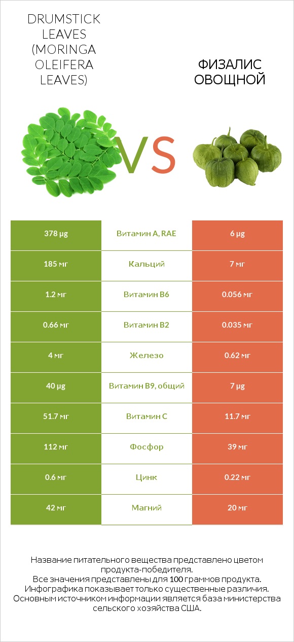 Drumstick leaves vs Физалис овощной infographic