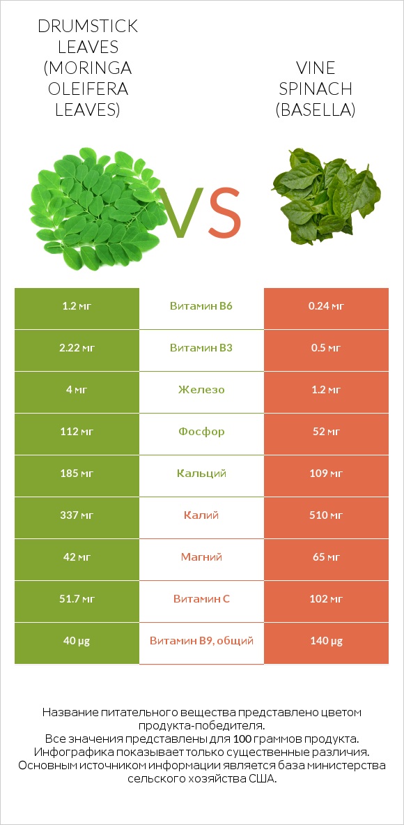 Drumstick leaves vs Vine spinach (basella) infographic