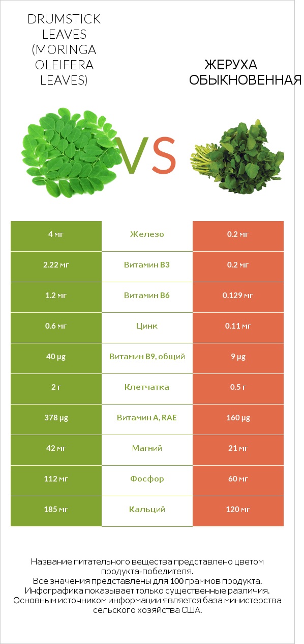 Листья моринги vs Жеруха обыкновенная infographic