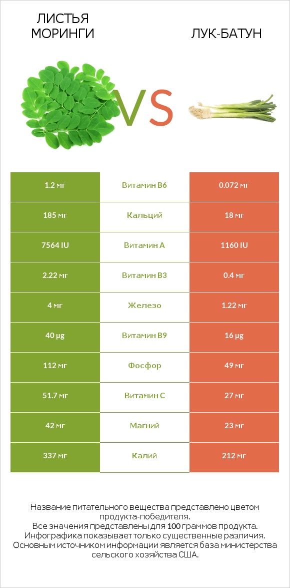 Листья моринги vs Лук-батун infographic