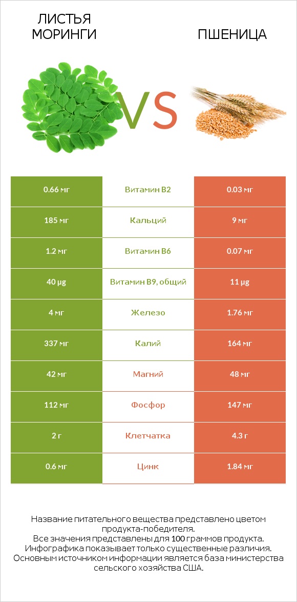 Листья моринги vs Пшеница infographic