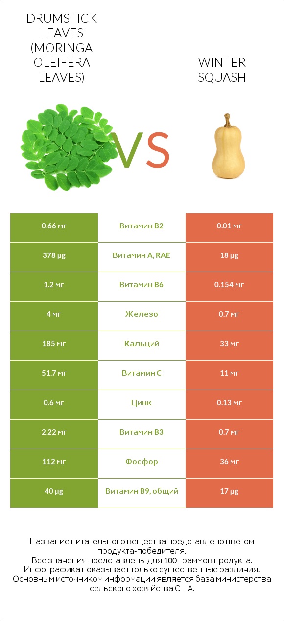 Drumstick leaves vs Winter squash infographic