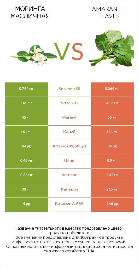 Моринга масличная vs Amaranth leaves infographic