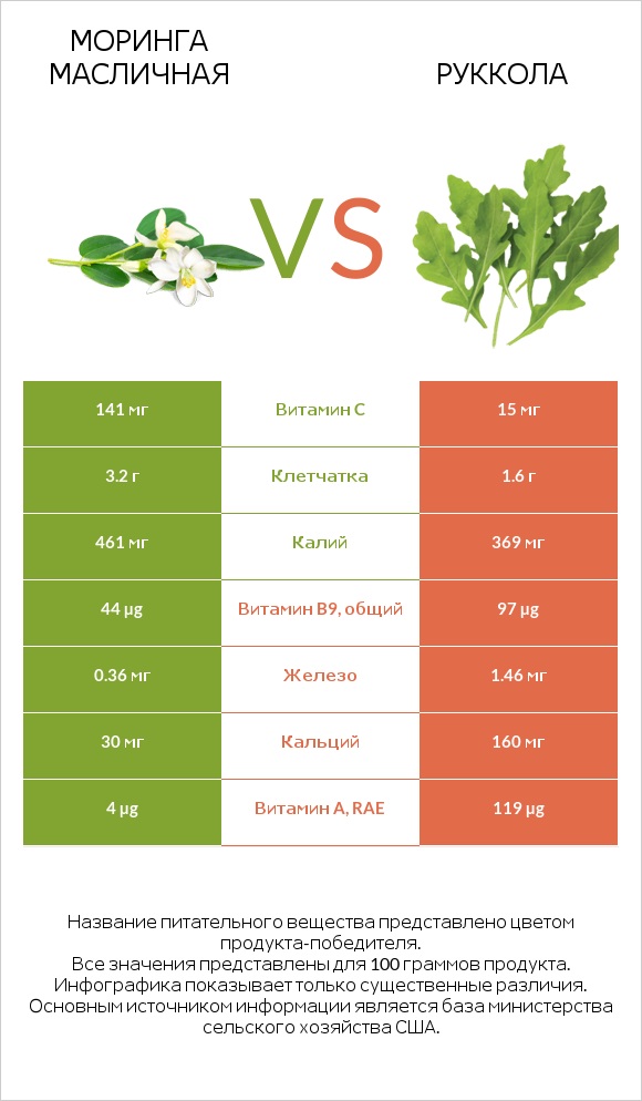 Моринга масличная vs Руккола infographic