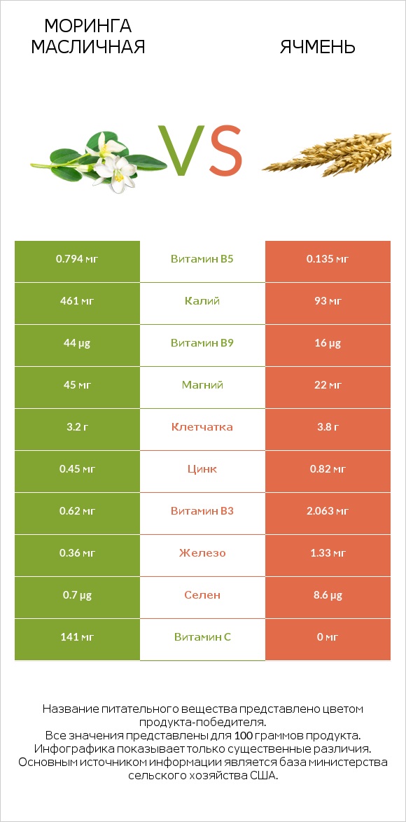 Моринга масличная vs Ячмень infographic