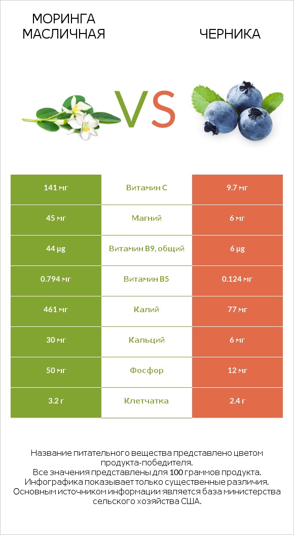 Моринга масличная vs Черника infographic